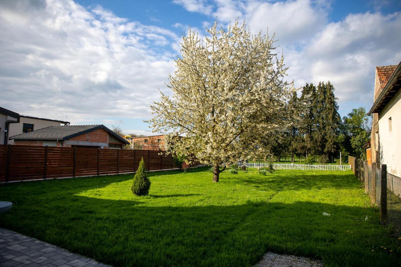 Apartman Ena Belovár Kültér fotó
